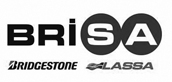 BRISA BRIDGESTONE SABANCI