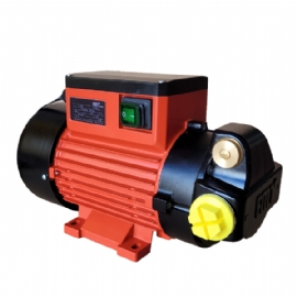 Electric Vane Oil Pump 220 V