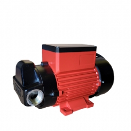 Electric Vane Oil Pump 220 V