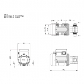 FMT Electrical Diesel Transfer Pump 230 V 80 Lt/min