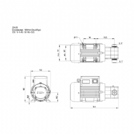 FMT Electrical Diesel Transfer Pump 230 V 100 Lt/min