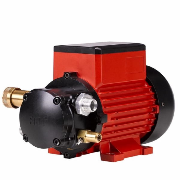 Electric Vane Oil Pump 220 V